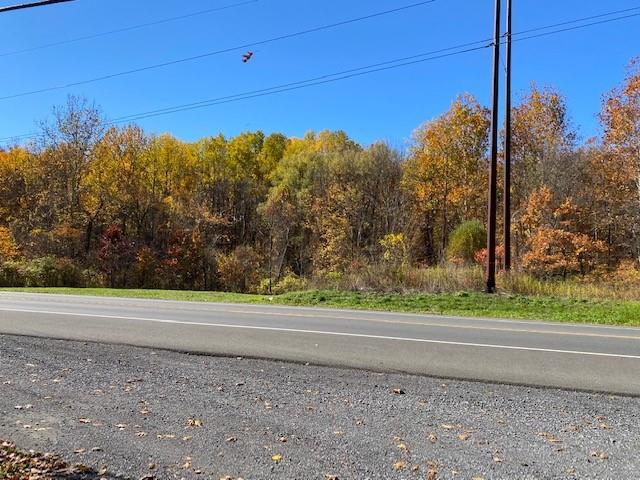 TBD Route 9W – For Sale photo 7
