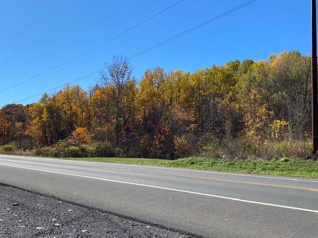 TBD Route 9W – For Sale photo 3