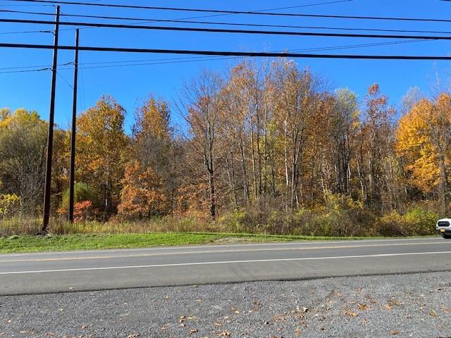 TBD Route 9W – For Sale photo 9