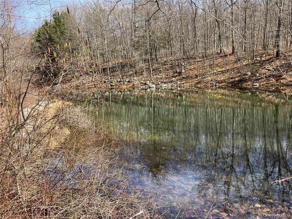 2215 Greenville Turnpike – For Sale photo 28