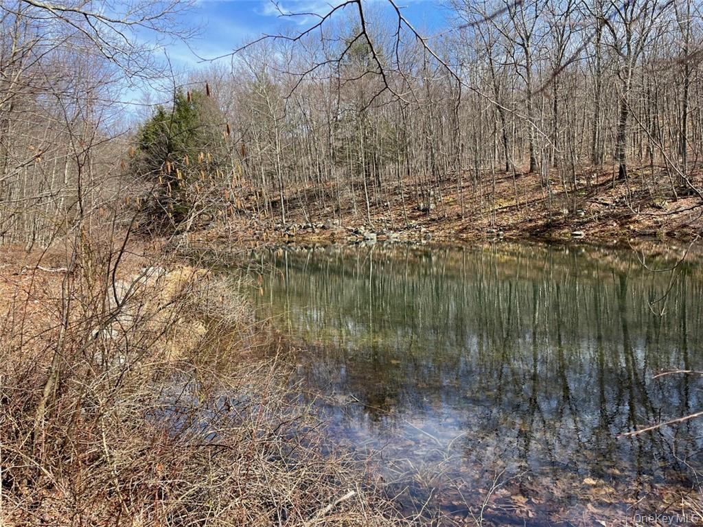 2215 Greenville Turnpike – For Sale photo 31