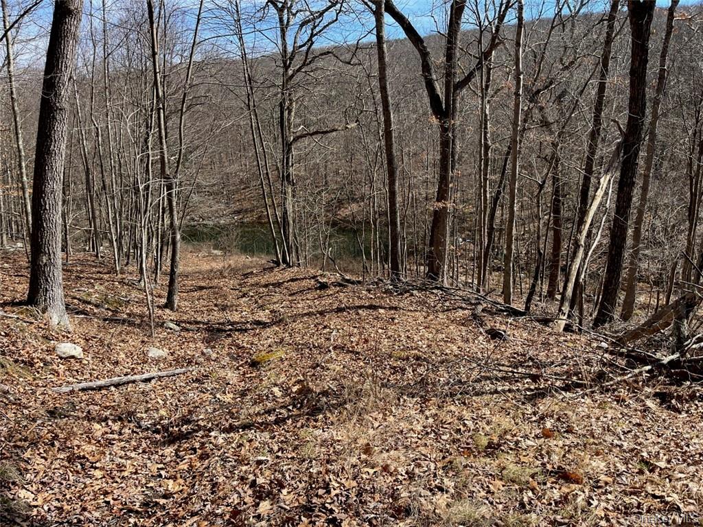 2215 Greenville Turnpike – For Sale photo 30