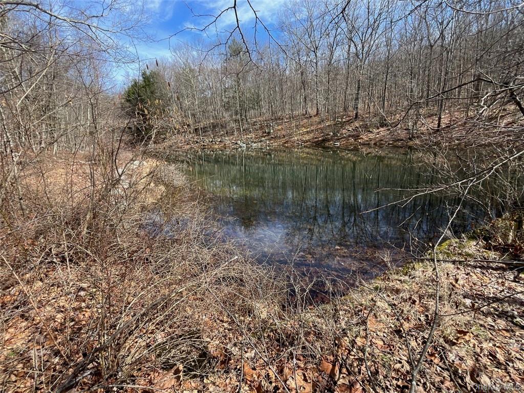 2215 Greenville Turnpike – For Sale photo 27