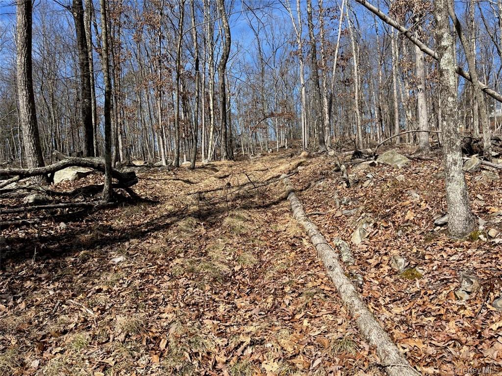 2215 Greenville Turnpike – For Sale photo 32