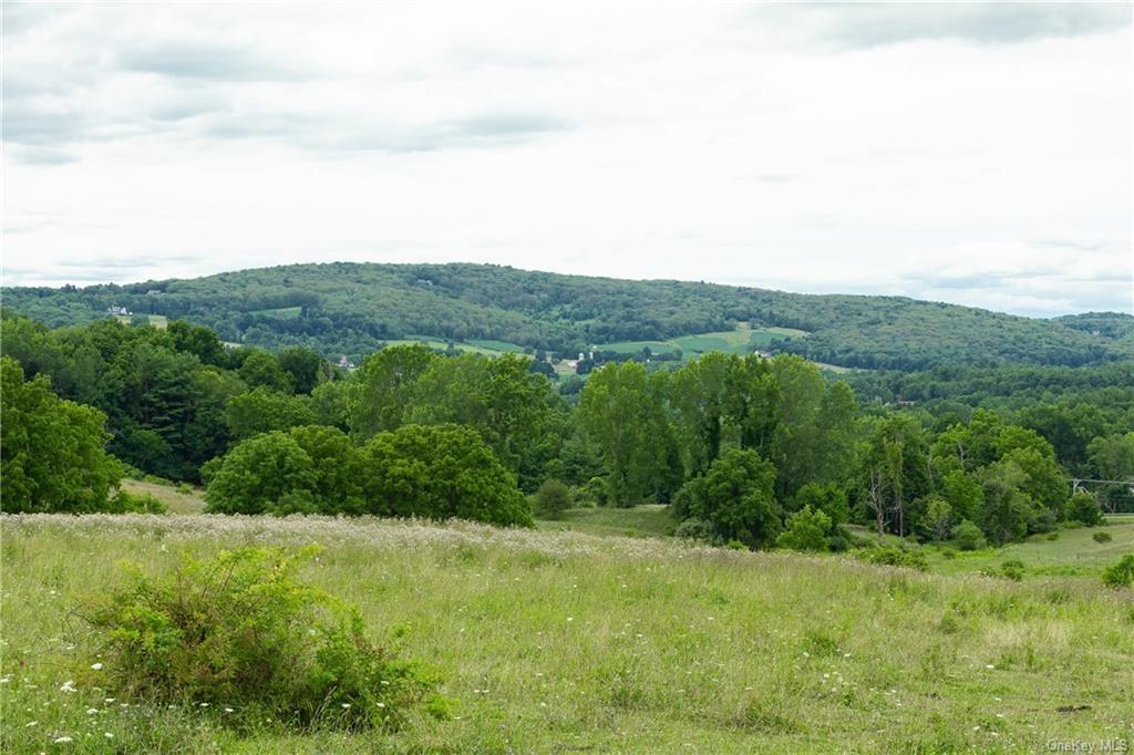 Yonderview Road – For Sale photo 4