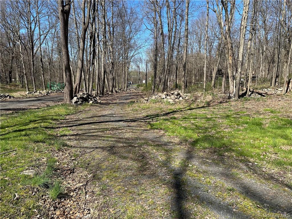 TBD Cronk Road – For Sale photo 4
