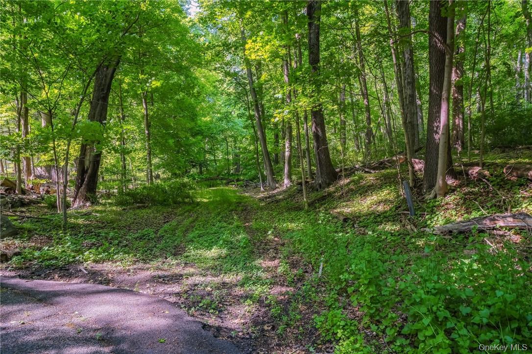 3 Route 100 – For Sale photo 4