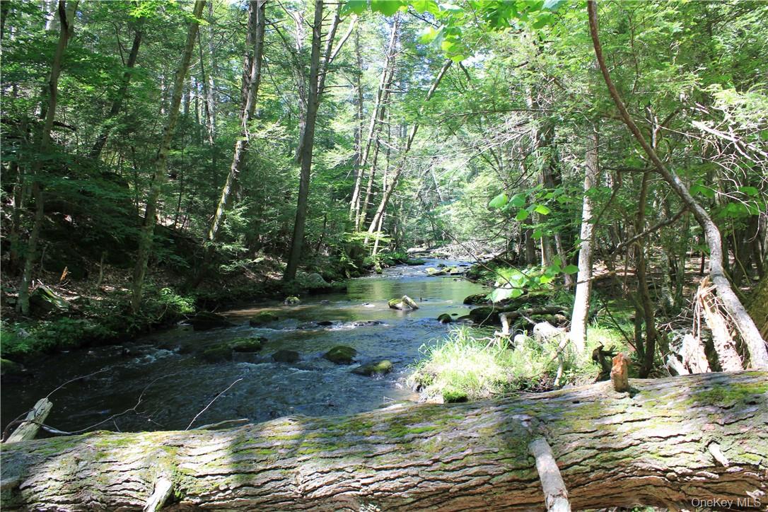 Rolling Meadow Lane – For Sale photo 3