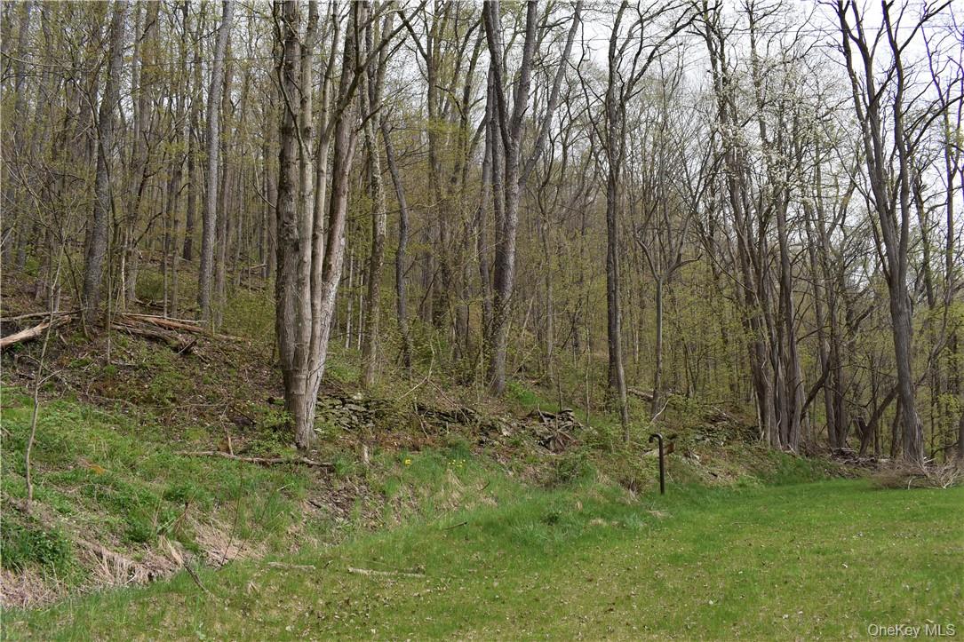 29735 State Highway 10 – For Sale photo 9