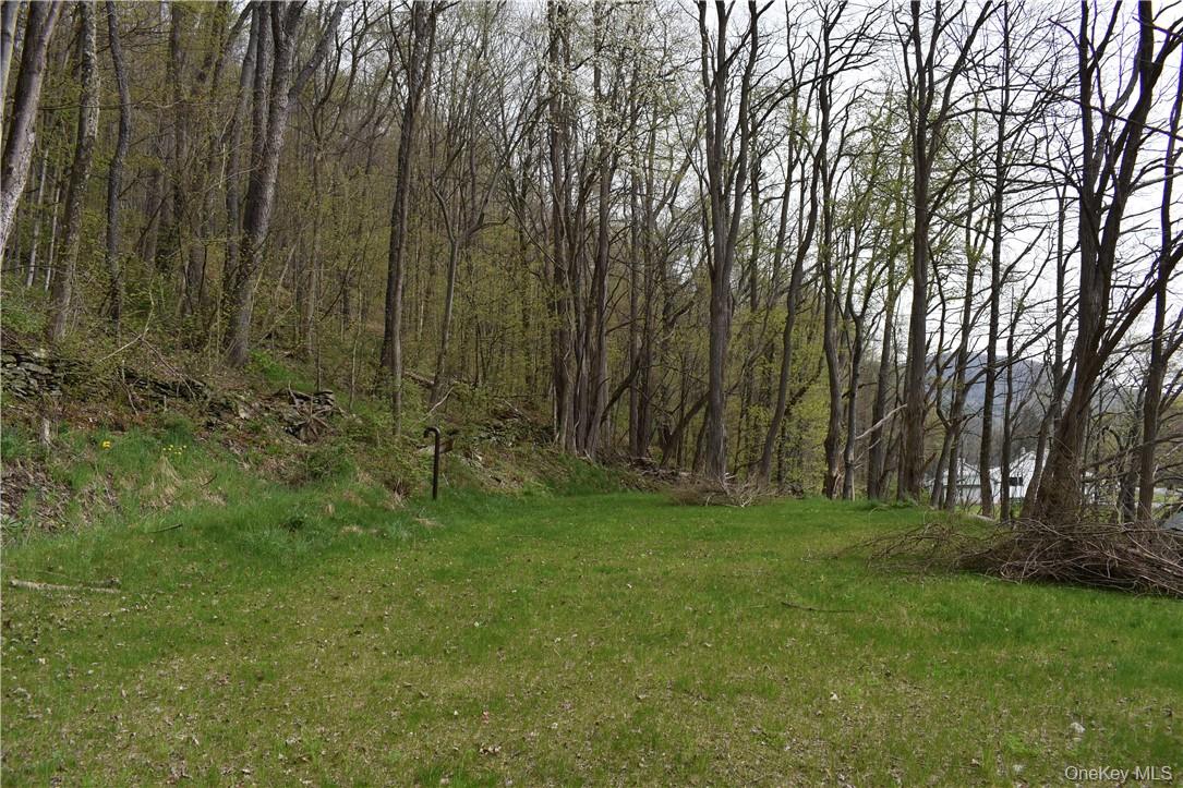 29735 State Highway 10 – For Sale photo 8