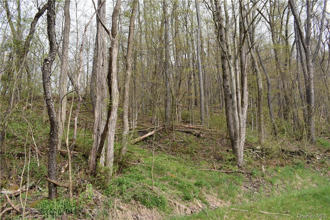 29735 State Highway 10 – For Sale photo 10