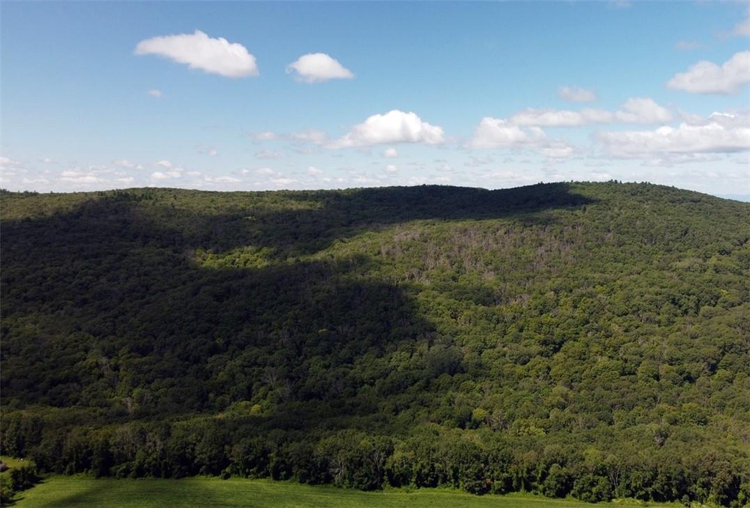 Cascade Mt / Perrys Corners – For Sale photo 3