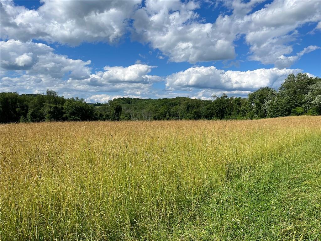Cascade Mt / Perrys Corners – For Sale photo 23
