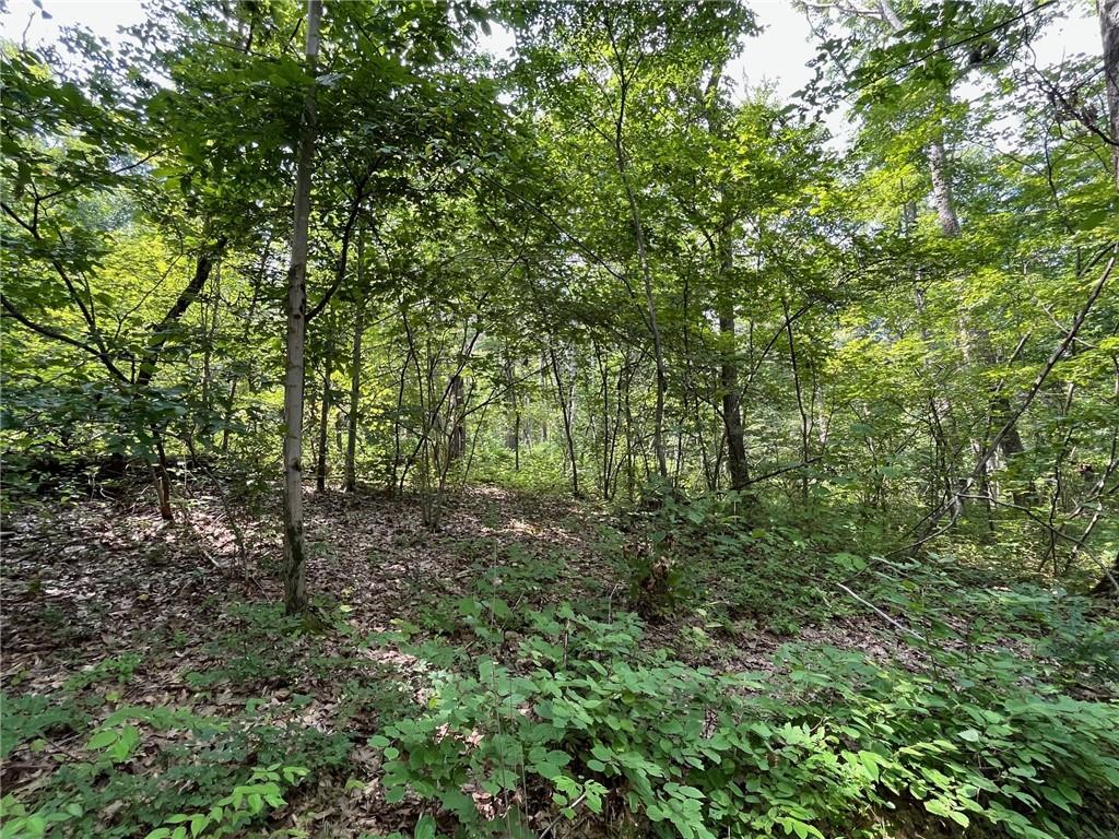 Cascade Mt / Perrys Corners – For Sale photo 18