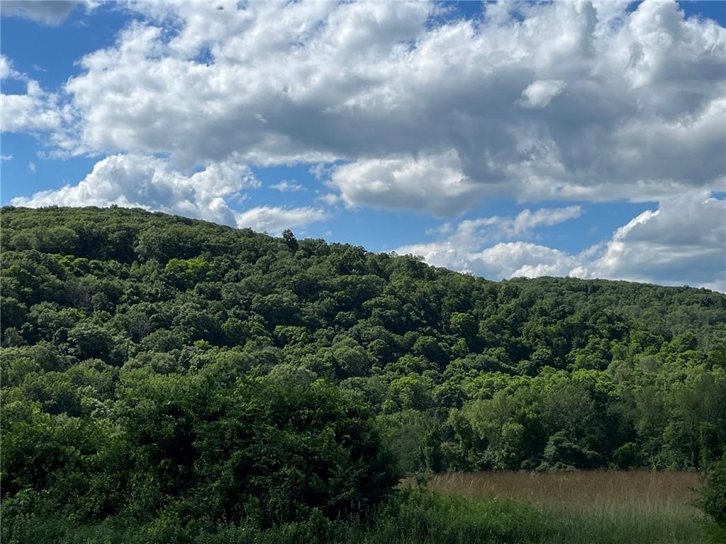 Cascade Mt / Perrys Corners – For Sale photo 4