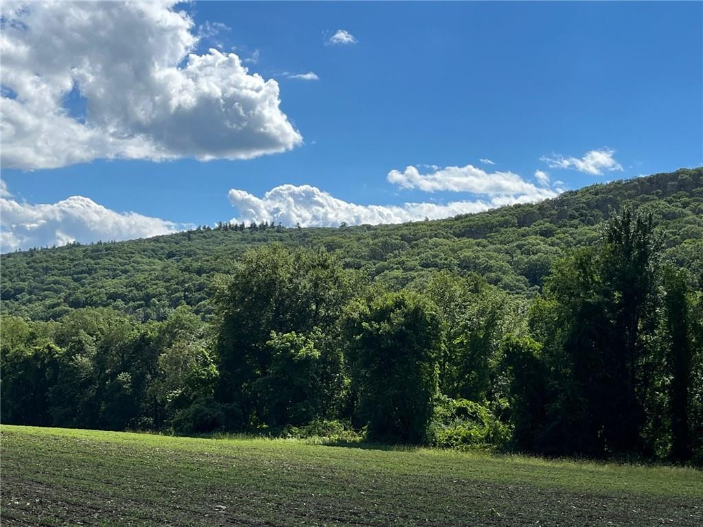 Cascade Mt / Perrys Corners – For Sale photo 21