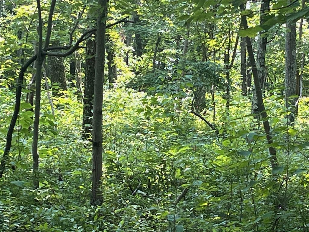 Cascade Mt / Perrys Corners – For Sale photo 8