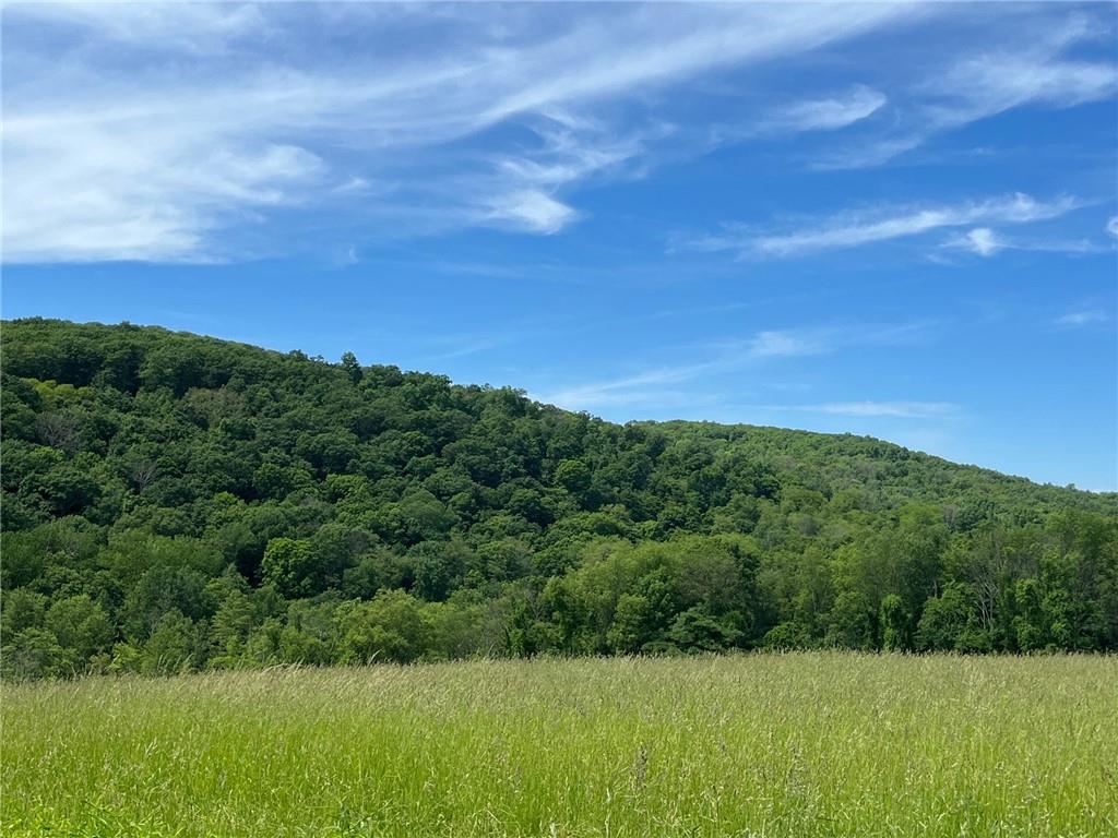 Cascade Mt / Perrys Corners – For Sale photo 20