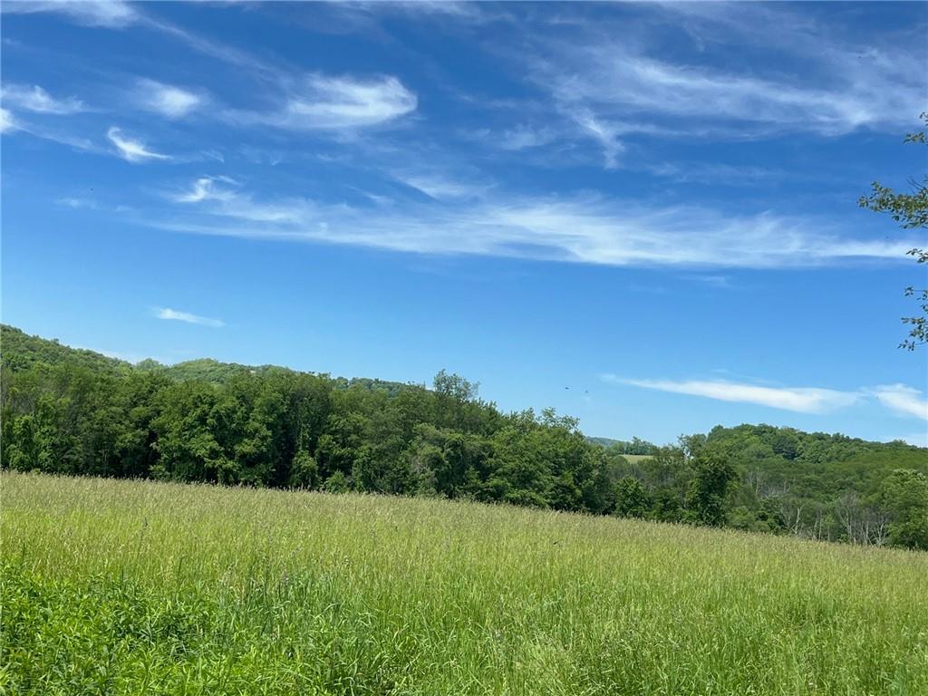 Cascade Mt / Perrys Corners – For Sale photo 19