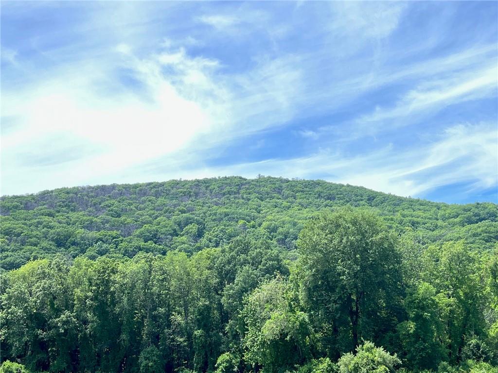 Cascade Mt / Perrys Corners – For Sale photo 5