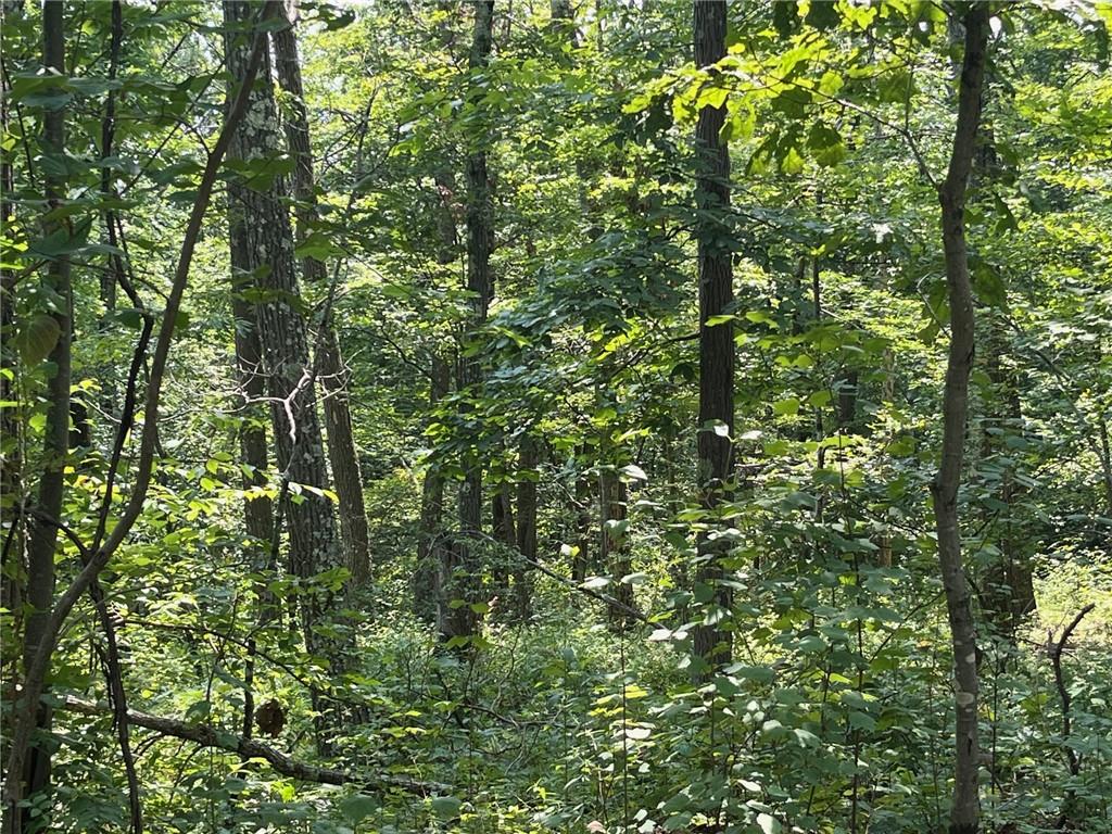 Cascade Mt / Perrys Corners – For Sale photo 13