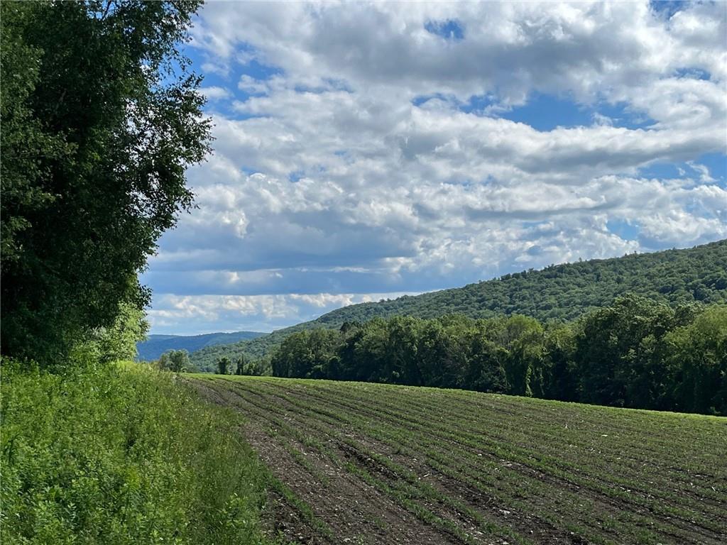 Cascade Mt / Perrys Corners – For Sale photo 22
