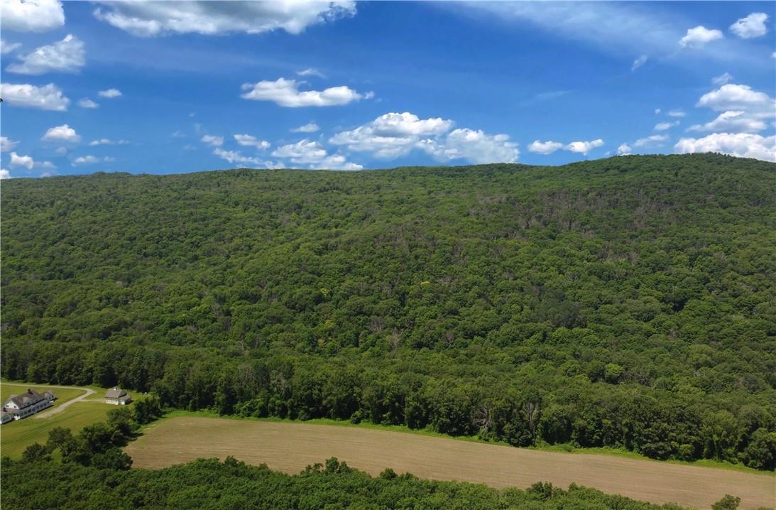 Cascade Mt / Perrys Corners – For Sale photo 2