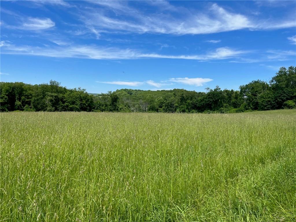 Cascade Mt / Perrys Corners – For Sale photo 6