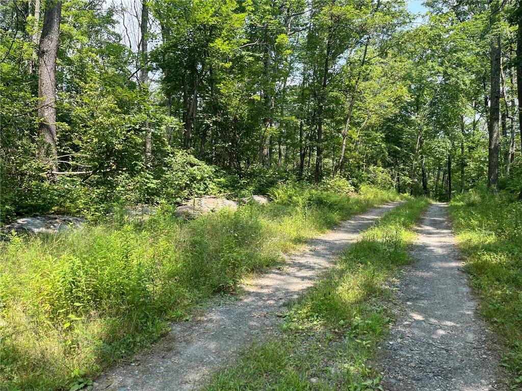 Cascade Mt / Perrys Corners – For Sale photo 15