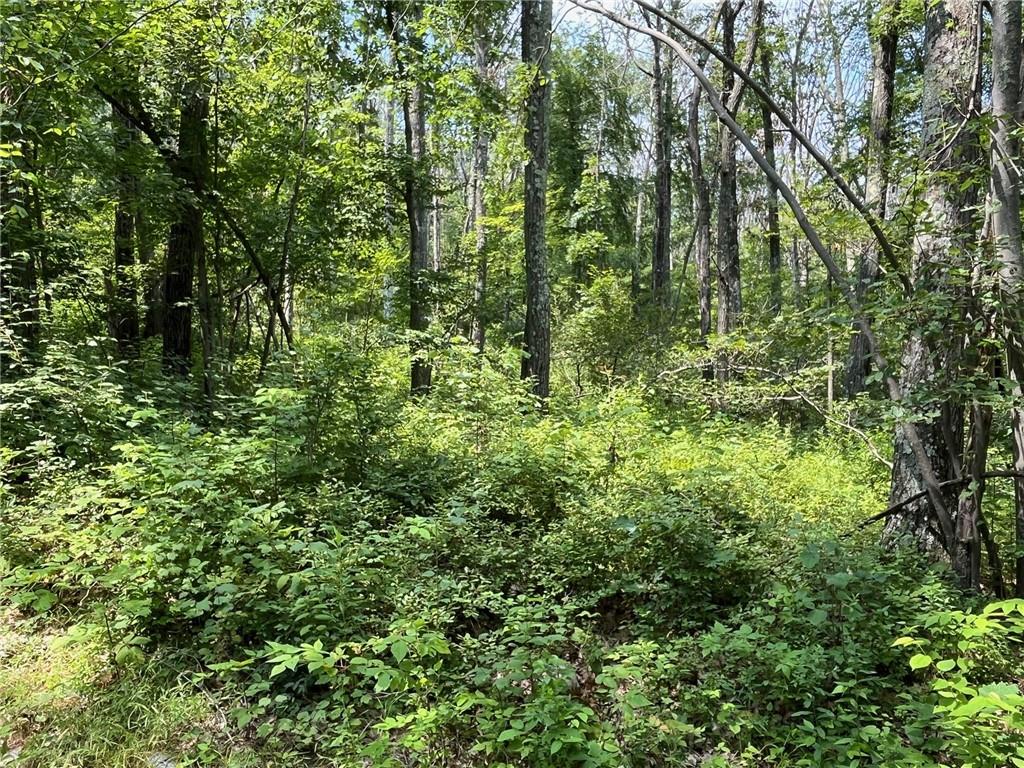 Cascade Mt / Perrys Corners – For Sale photo 16