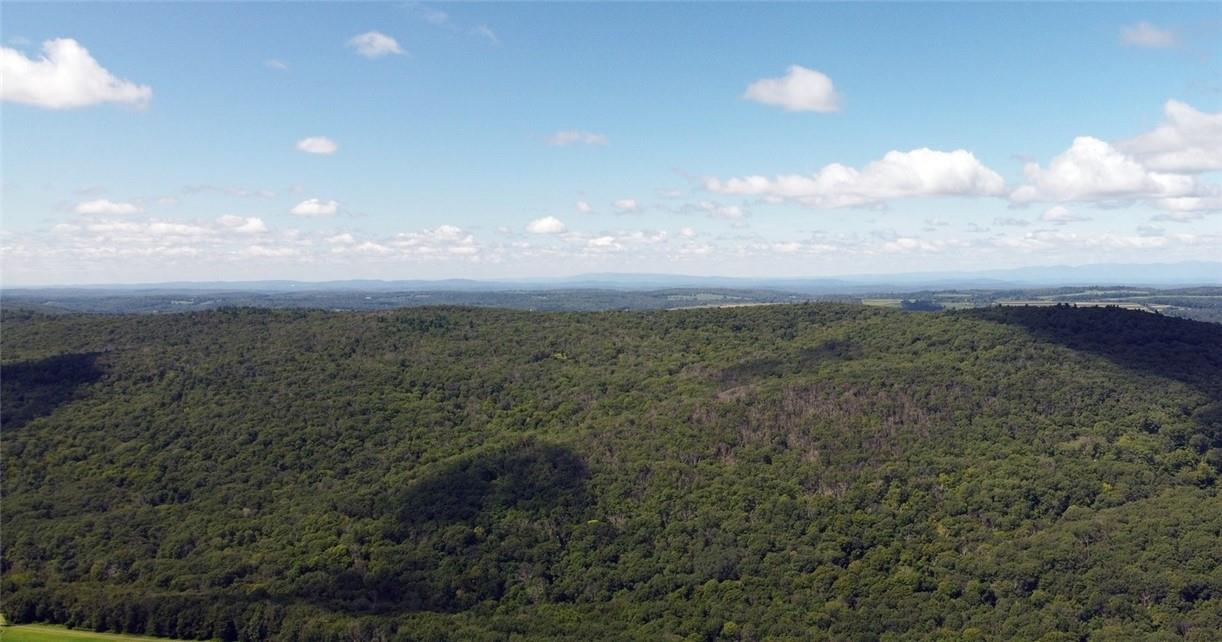 Cascade Mt / Perrys Corners – For Sale photo 24