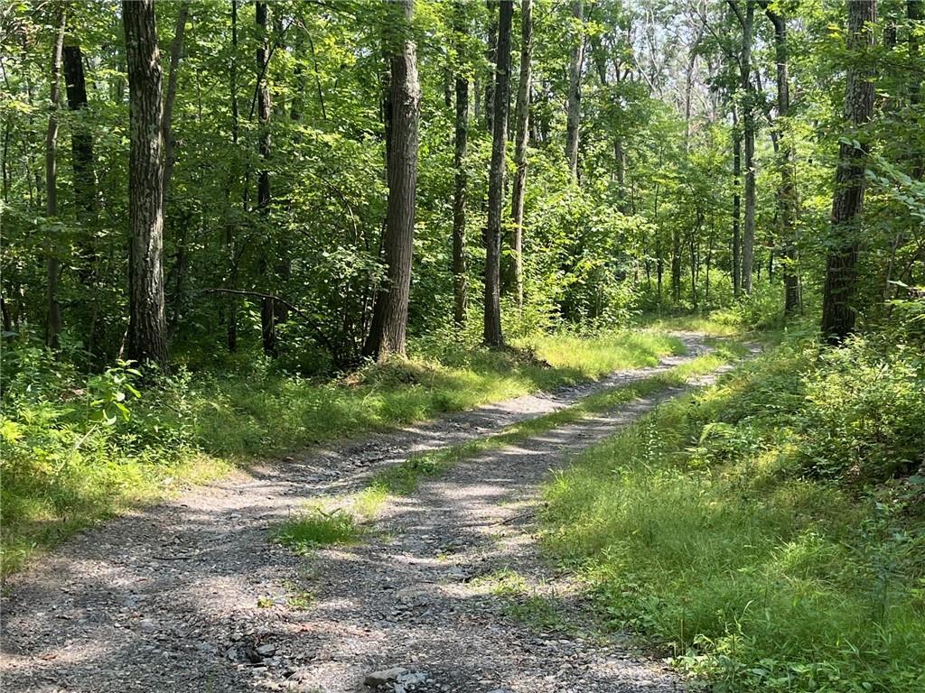 Cascade Mt / Perrys Corners – For Sale photo 17