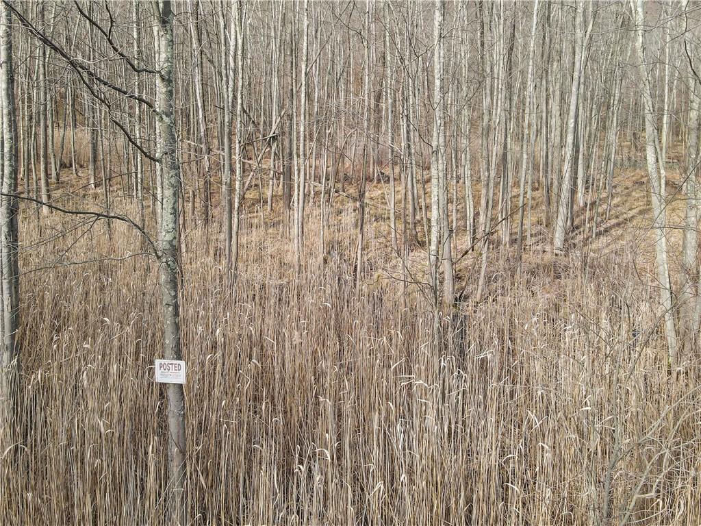 1 Badi Drive – For Sale photo 32