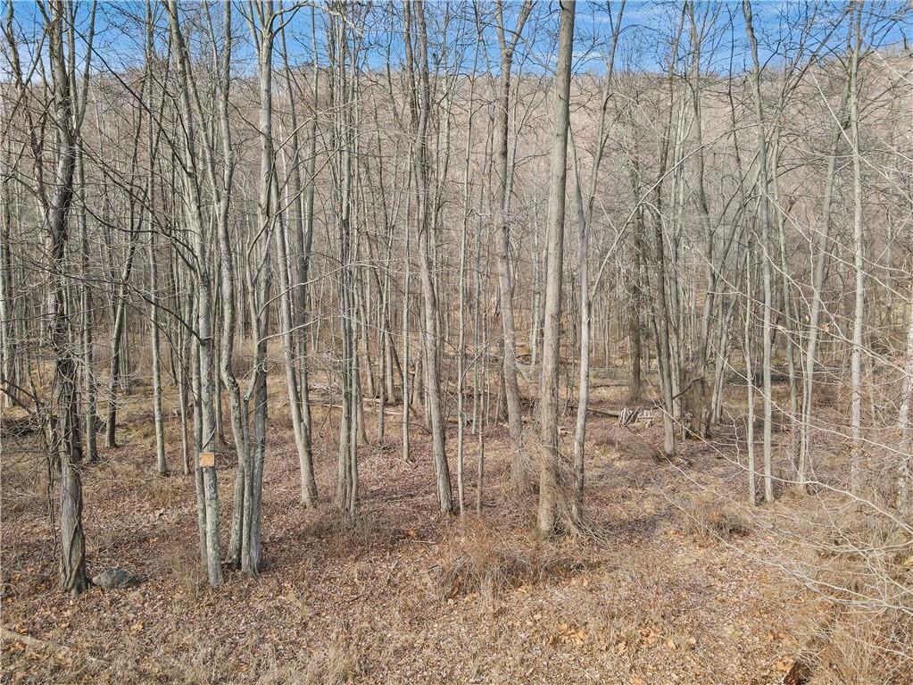 1 Badi Drive – For Sale photo 22