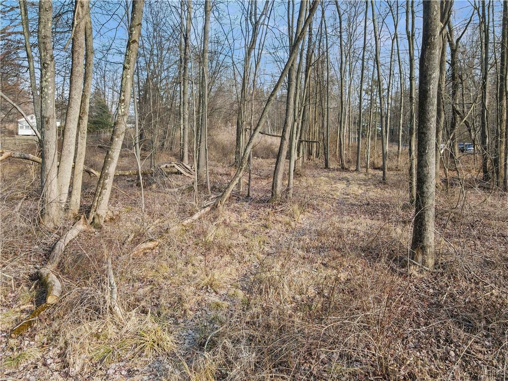 1 Badi Drive – For Sale photo 24