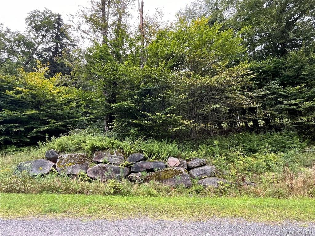 34 Black Bear Crossing – For Sale photo 19
