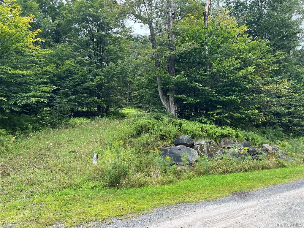 34 Black Bear Crossing – For Sale photo 5