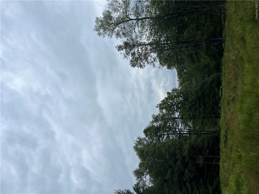 34 Black Bear Crossing – For Sale photo 3