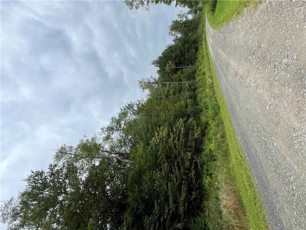 34 Black Bear Crossing – For Sale photo 10