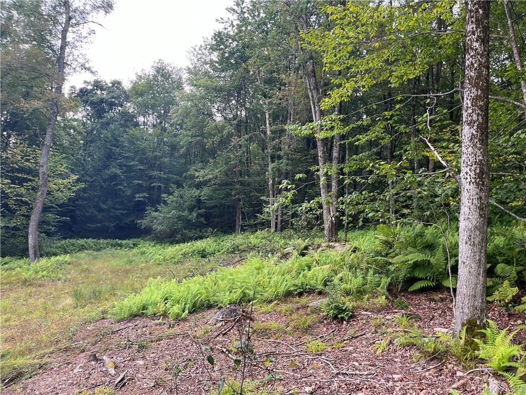 34 Black Bear Crossing – For Sale photo 18