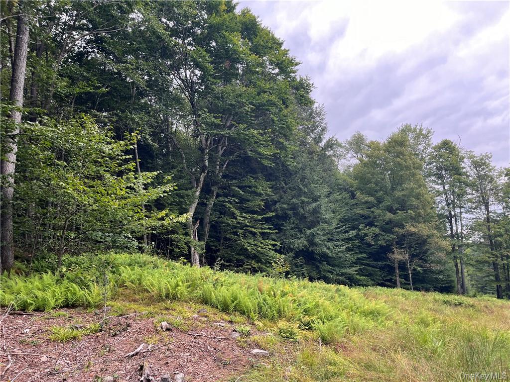 34 Black Bear Crossing – For Sale photo 17