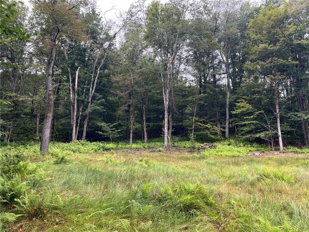 34 Black Bear Crossing – For Sale photo 16