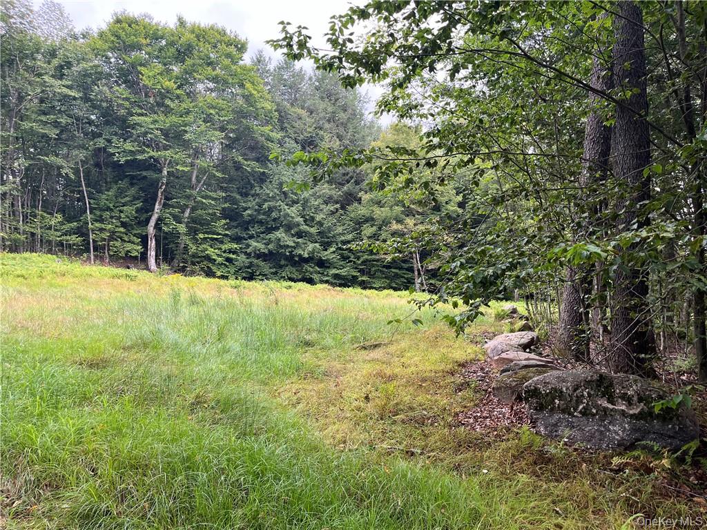 34 Black Bear Crossing – For Sale