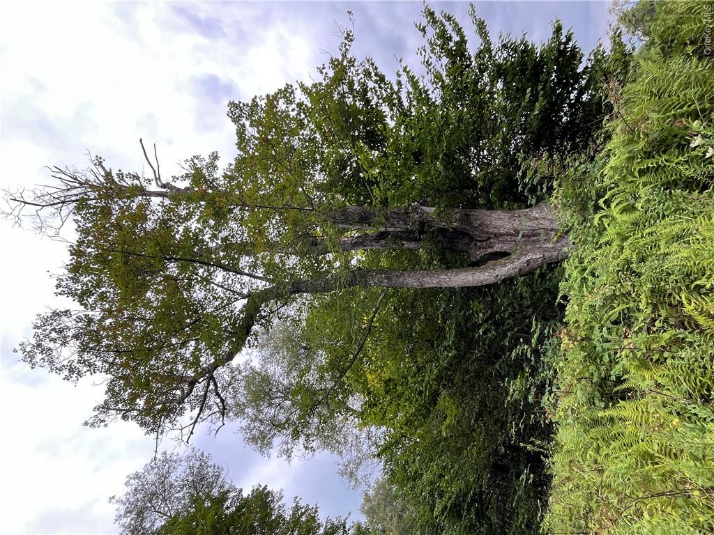 34 Black Bear Crossing – For Sale photo 9