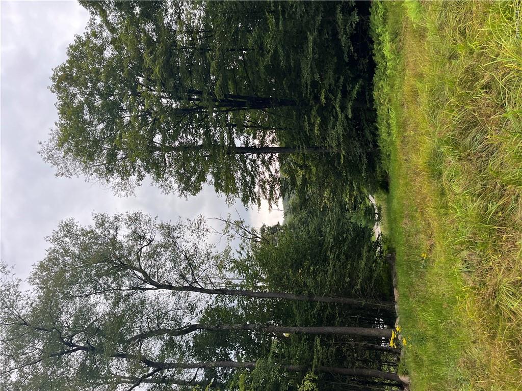 34 Black Bear Crossing – For Sale photo 7