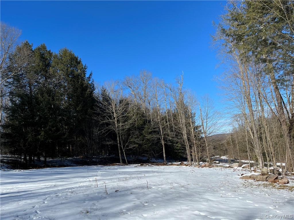 34 Black Bear Crossing – For Sale photo 12