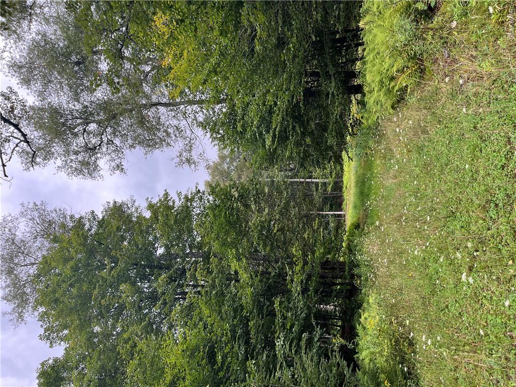 34 Black Bear Crossing – For Sale photo 2