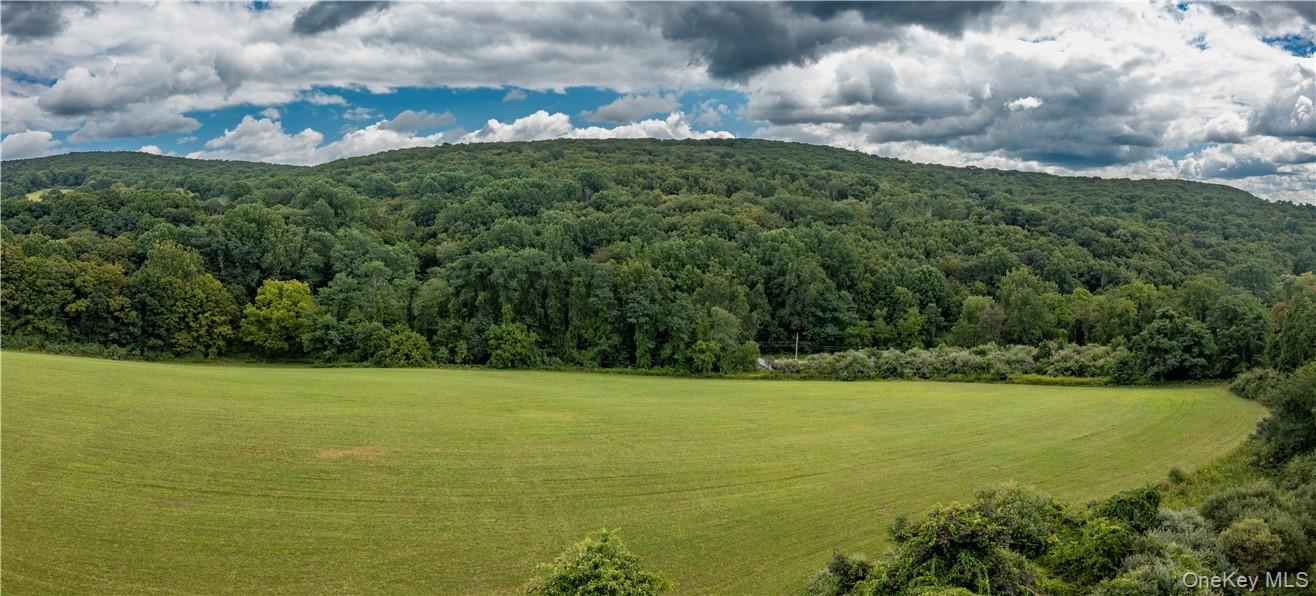 245 Birch Hill Road – For Sale photo 2