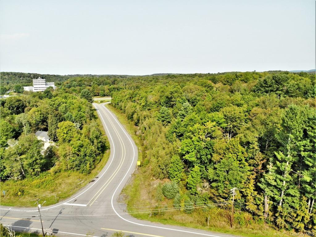 Nys Rt 17 And Old Rt 17 – For Sale photo 4