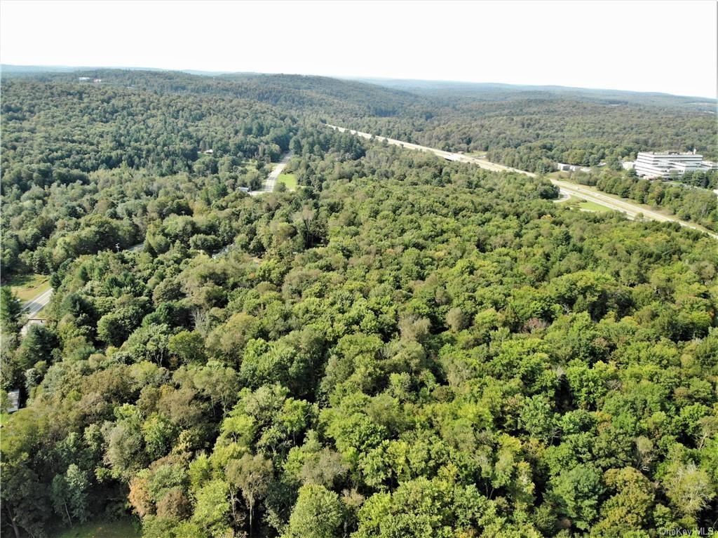 Nys Rt 17 And Old Rt 17 – For Sale photo 8